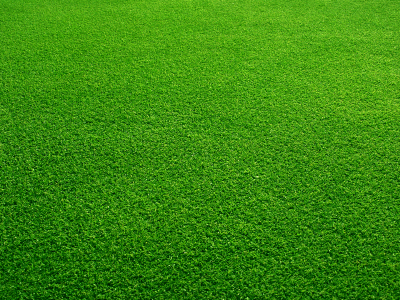 Green Grass.jpg
